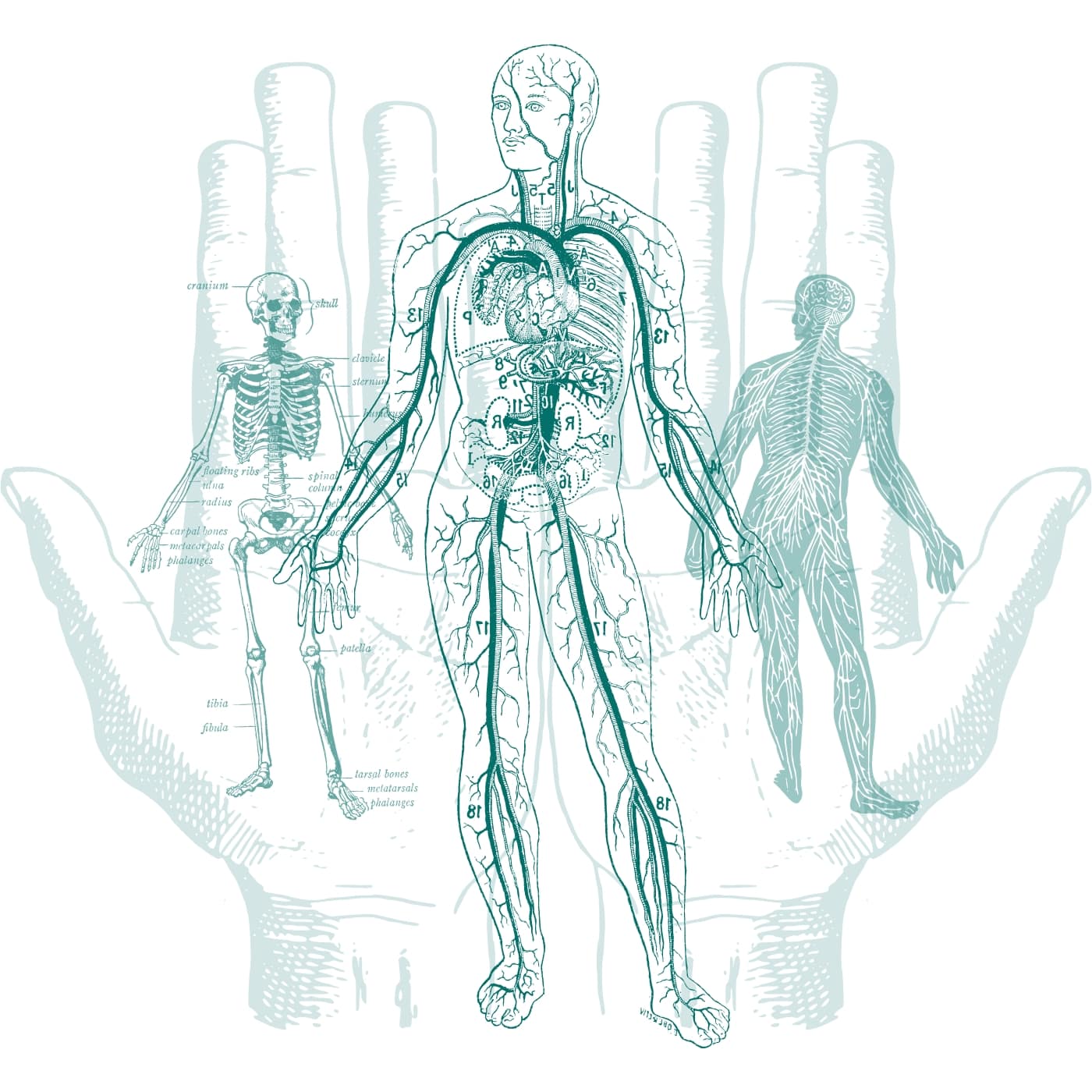 Bannière promouvant les techniques de thérapie manuelle chez Issy Ostéo.